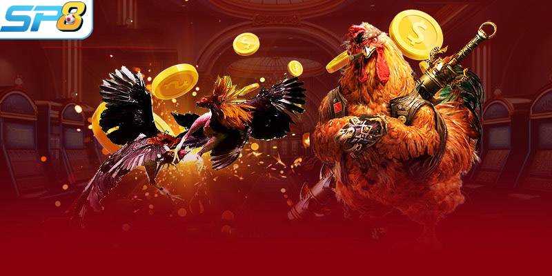 Đôi nét về đá gà trực tuyến tại SP8BET