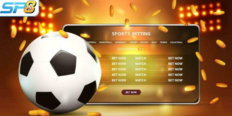 Những lý do nên chọn cá cược tại thể thao SP8BET
