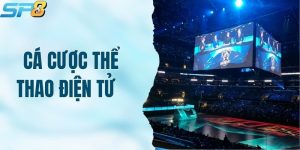 Cá Cược Thể Thao Điện Tử SP8BET -  Thử Sức Với Nhiều Kèo Hot