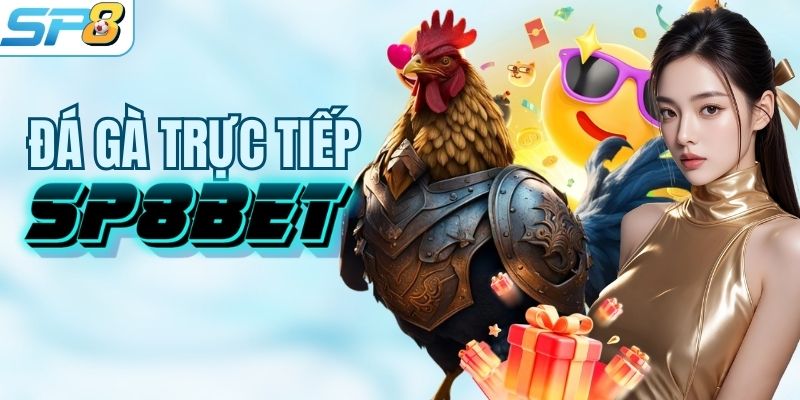 Thử sức với bộ môn đá gà đẳng cấp